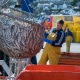 Fisherman at Newlyn Harbour